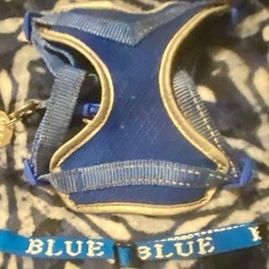 Small Blue Dog Harness and Collar Set